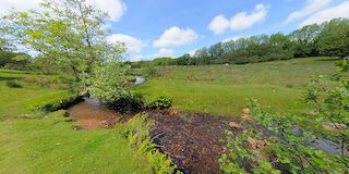 Dartmoor stream